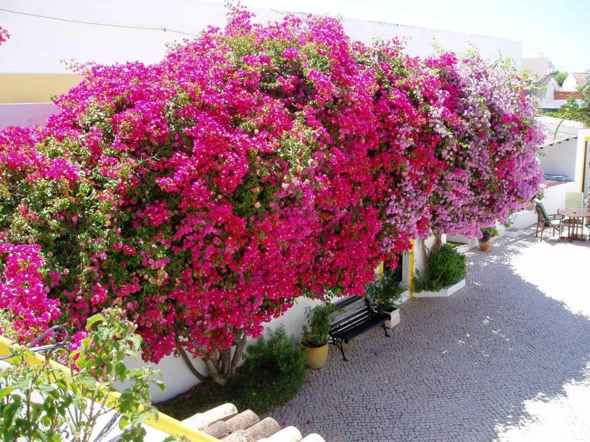 Rio Arade Algarve Manor House Hotel เอสโตเบอร์ ภายนอก รูปภาพ