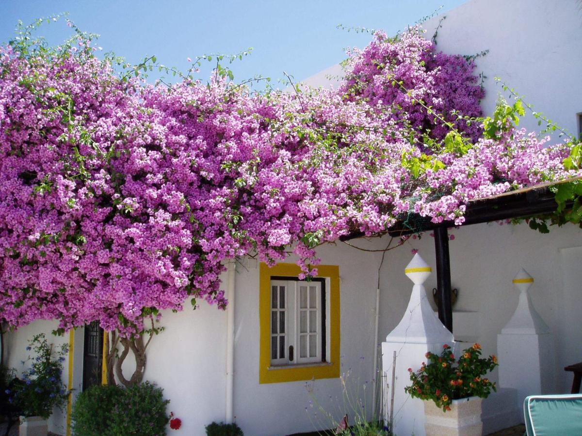 Rio Arade Algarve Manor House Hotel เอสโตเบอร์ ภายนอก รูปภาพ